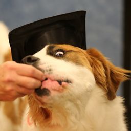 photograph by PeterW